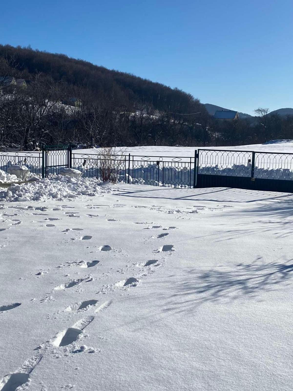 Vikendica Matic Villa Goc Exteriör bild